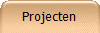 Projecten